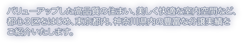 バリューアップした高品質の住まい、美しく快適な室内空間など、都心３区をはじめ、東京都内、神奈川県内の豊富な分譲実績をご紹介いたします。
